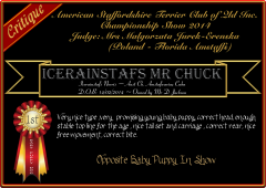 Icerainstafs Mr Chuck.png